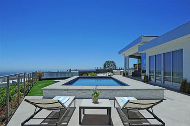 This is an example of a modern back swimming pool in Los Angeles.