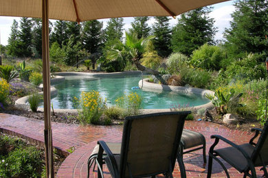Imagen de piscina natural grande a medida en patio trasero con adoquines de ladrillo