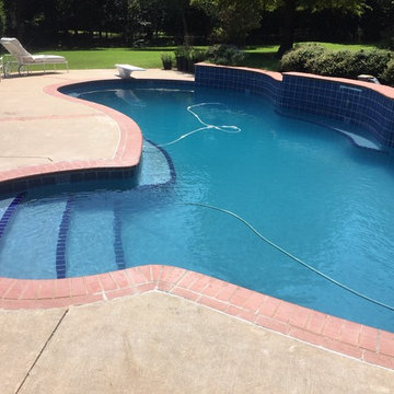 Large Free-From Custom Concrete Pool Remodel