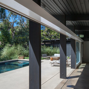 Modelo de piscina alargada, retro, grande, rectangular, en patio trasero, con losas de hormigón