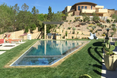 Immagine di una grande piscina design personalizzata dietro casa con pavimentazioni in cemento