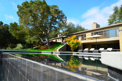 Imagen de piscinas y jacuzzis infinitos contemporáneos grandes a medida en patio trasero con losas de hormigón