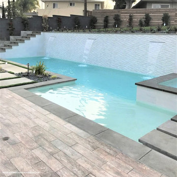 Los Angeles - Contemporary Black & White Rectangular Pool & Spa