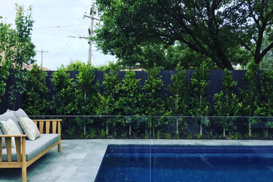 Foto de piscina natural actual rectangular en patio trasero con privacidad y adoquines de piedra natural