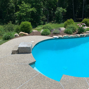 Idee per un'ampia piscina naturale tradizionale personalizzata dietro casa con pedane