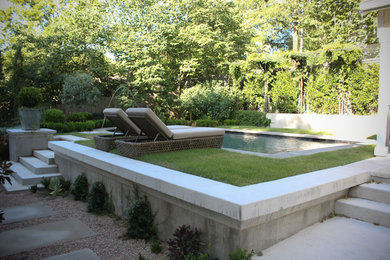 Example of a trendy pool design in Austin