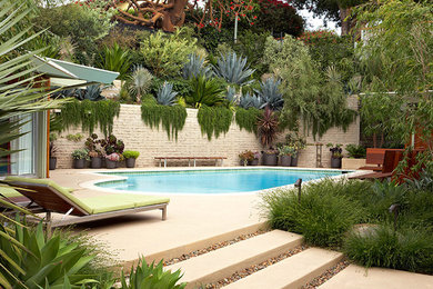 ロサンゼルスにあるミッドセンチュリースタイルのおしゃれなプールの写真