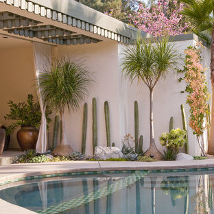 Idee per una piscina fuori terra minimalista a "C" di medie dimensioni e dietro casa con pedane