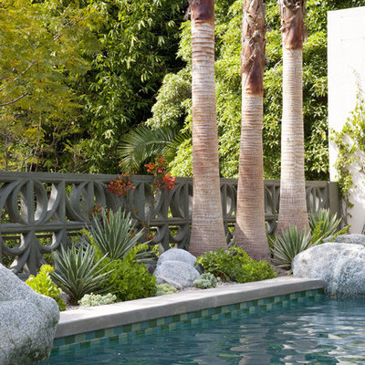 Example of a mid-sized 1950s backyard rectangular lap pool design in Los Angeles