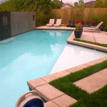 Modern Contemporary Swimming Pools