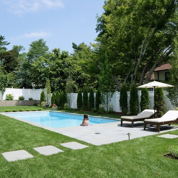 Modern Pool Backyard