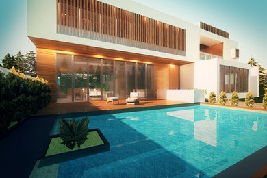 Modelo de piscina elevada minimalista grande rectangular en patio delantero con paisajismo de piscina y entablado