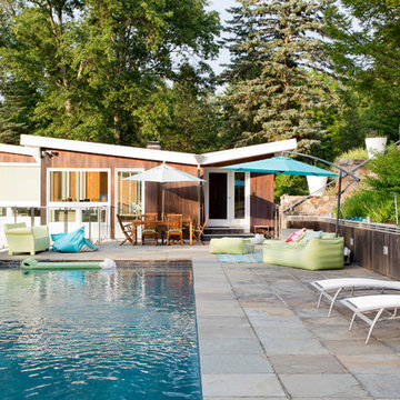 My Houzz: Midcentury Garden Tour