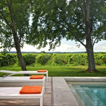 My Houzz: Midcentury Modern Style Transforms a Vineyard Bungalow