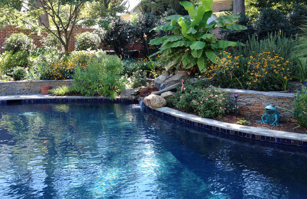 Classique Piscine by The Whole Blooming Landscape, Inc.