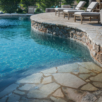 Naperville, IL Freeform Pool with Hot Tub and Beach Entry
