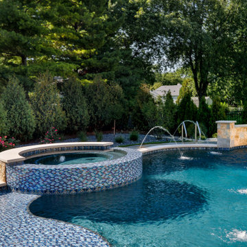 Naperville, IL freeform swimming pool with hot tub, large sunshelf, glass tile