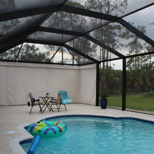 Pool - modern pool idea in Tampa