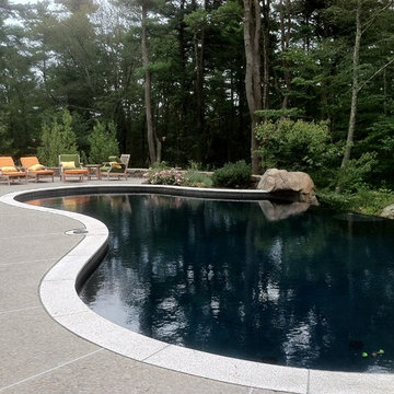 Natural Backyard Pool