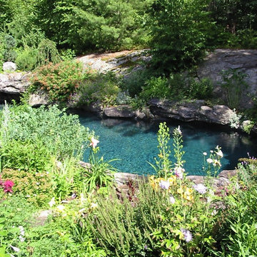 Natural boulder pool