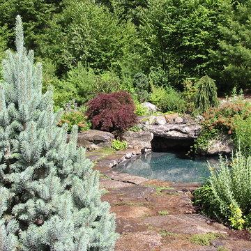 Natural boulder pool