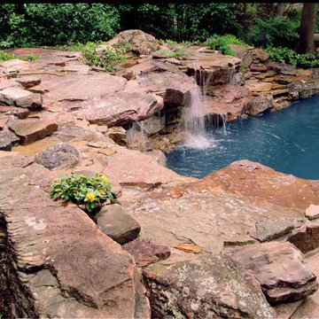 Natural Landscape and Pool Renovation
