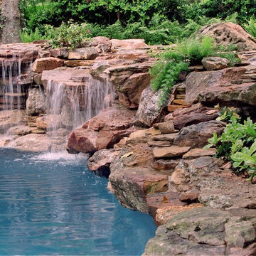Natural Landscape and Pool Renovation