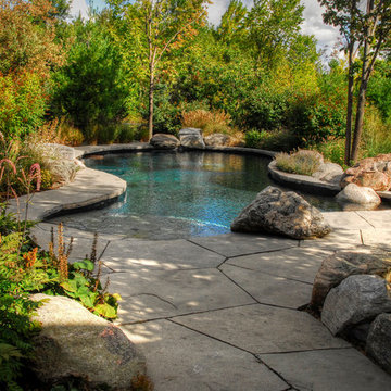 Natural Pool