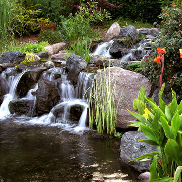 Natural Swim Pools, adding natural clarity and beauty into your backyard