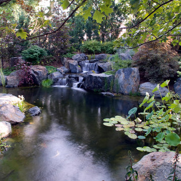 Natural Swim Pools, adding natural clarity and beauty into your backyard