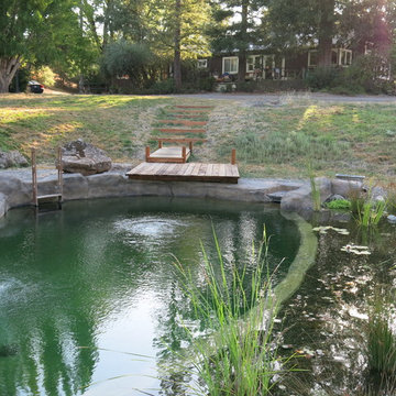 Natural Swimming Pond