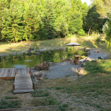 Natural Swimming Pond