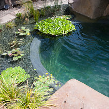 water gardens