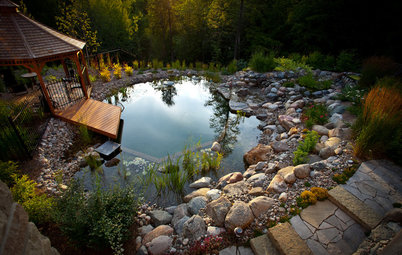 Natural Swimming Pools: More Beauty, No Chemicals