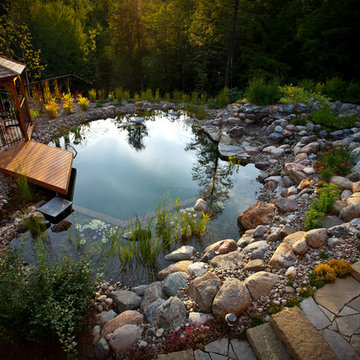 Natural Swimming Pool by the Forest