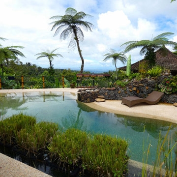 Natural Swimming Pool, Eco Lodge, Bali