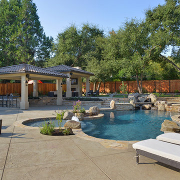 Natural Swimming Pool in Alamo, Ca