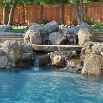 Natural Swimming Pool in Alamo, Ca