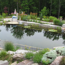 Convert a pool into a pond