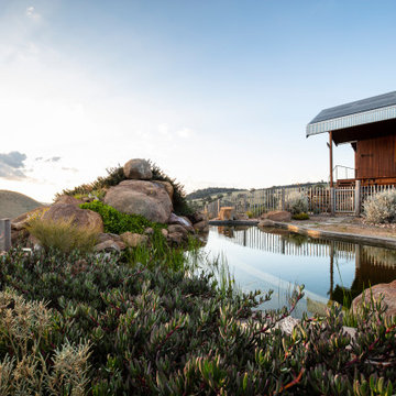 Natural Swimming Pools