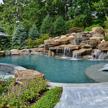 Naturalistic Swimming Pool Backyard
