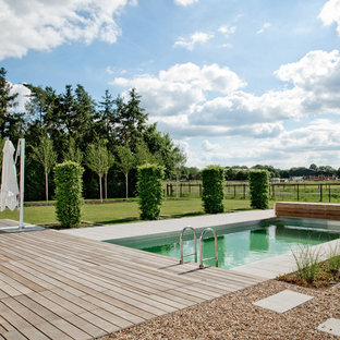 Moderner Pool in rechteckiger Form mit Dielen in Hamburg