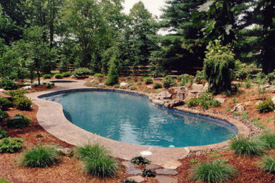 Example of an island style pool design in Newark