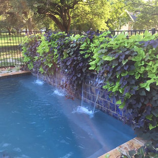Idee per una piccola piscina naturale contemporanea rettangolare dietro casa con fontane e pedane