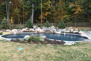 Foto de piscinas y jacuzzis naturales tradicionales renovados de tamaño medio tipo riñón en patio trasero con adoquines de hormigón