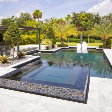 New Pool in Parkland Designed by Kevin Van Kirk!