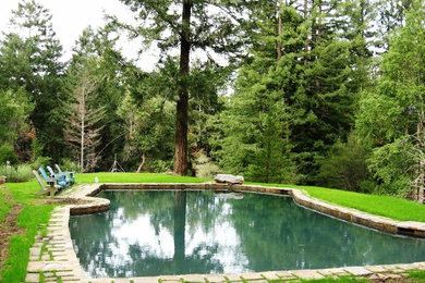Источник вдохновения для домашнего уюта: бассейн произвольной формы на заднем дворе в стиле рустика