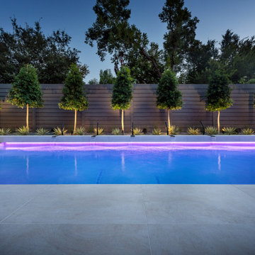 North Dallas Full Property Modern Landscape Design + Pool