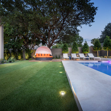 North Dallas Full Property Modern Landscape Design + Pool