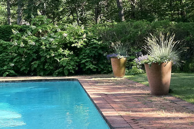 Imagen de piscina alargada actual de tamaño medio en forma de L en patio trasero con adoquines de ladrillo